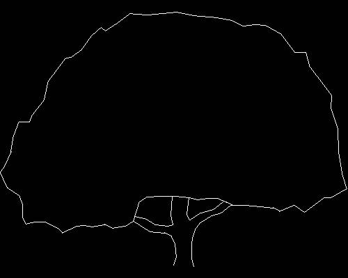 Plants, trees cad map