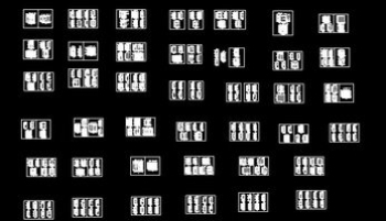 Common door CAD Atlas